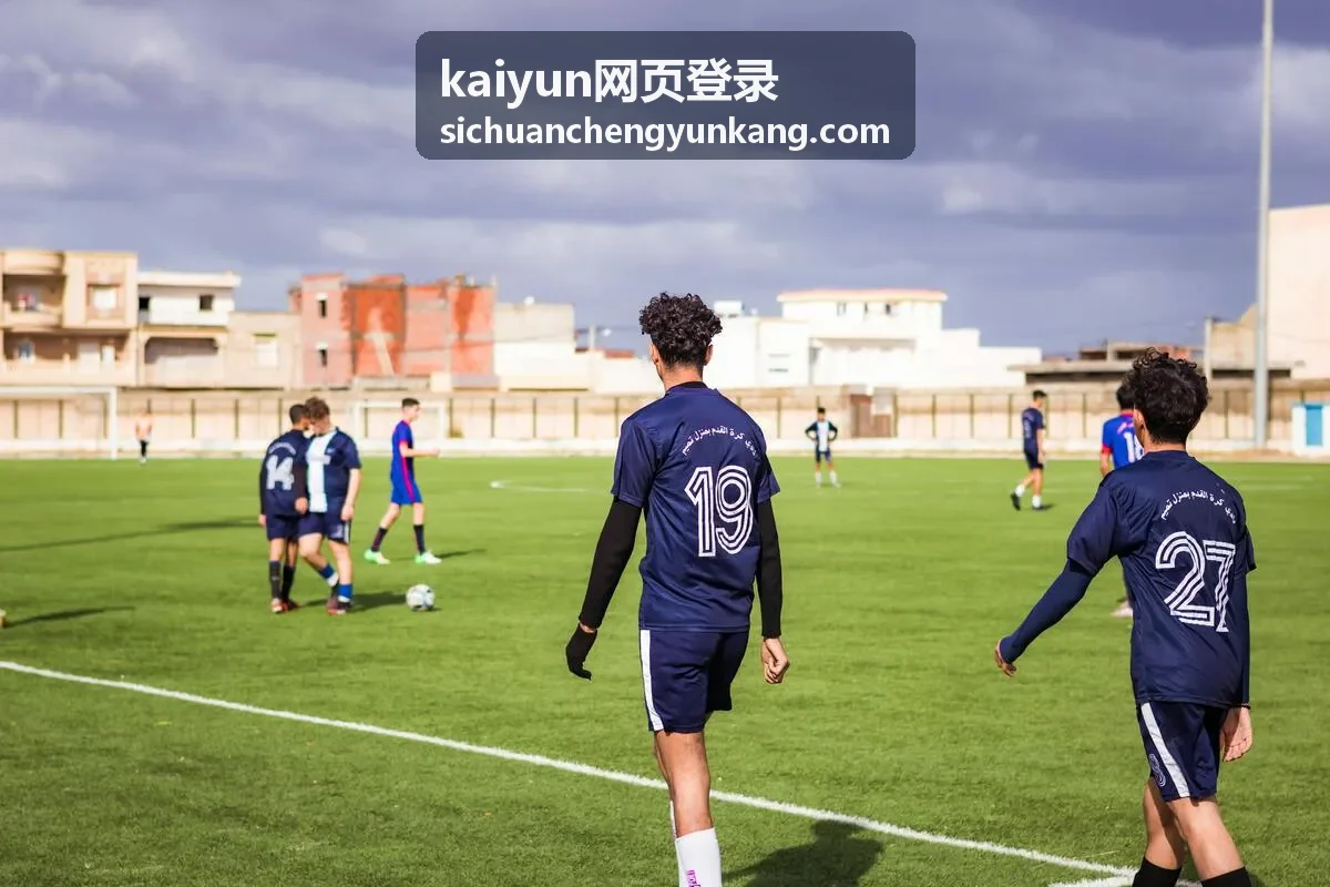 kaiyun网页登录账号密码填写规范示意图