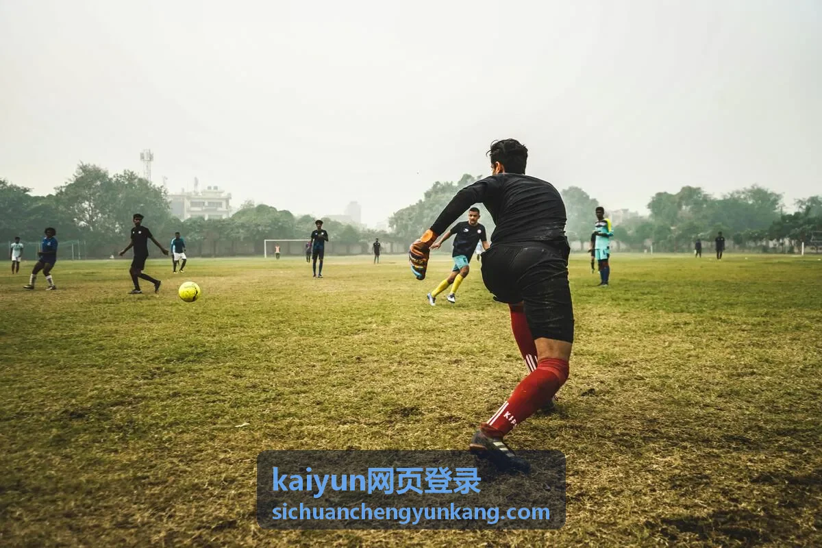 kaiyun网页登录验证环节提示含义说明图